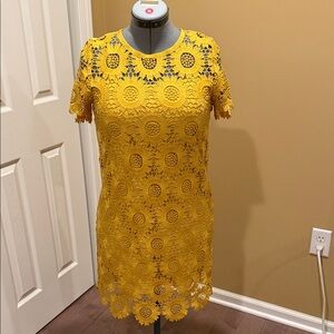 LOFT Sunflower Lace Mini Dress